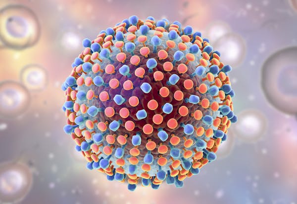 Hepatitus c virus